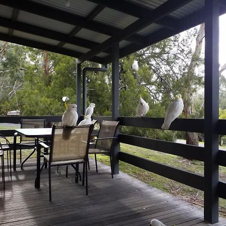 Cockatoo Cabin Halls Gap Eksteriør bilde
