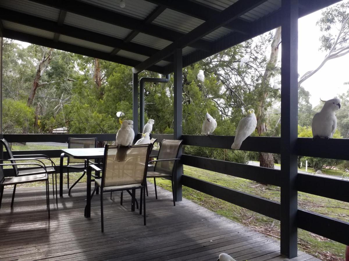 Cockatoo Cabin Halls Gap Eksteriør bilde